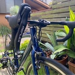 自転車　ロードバイク　スペシャライズド　シラス　スポーツ　16段変速の画像