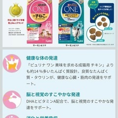 【賞味期限残り1ヶ月】ピュリナ ワン キャット ドライ 妊娠・授乳期の母猫用 １歳までの子ねこ用 サーモン＆ツナ 2kg×5袋の画像