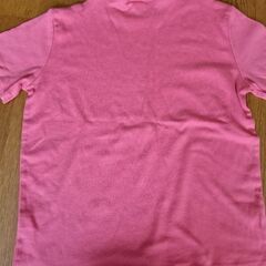 GAPTシャツの画像
