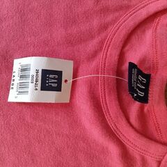 GAPTシャツの画像