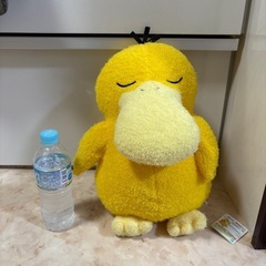 ポケモン　ぬいぐるみ　コダックの画像
