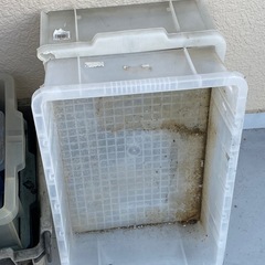 アクア　レプタイルの画像