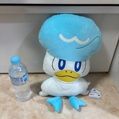 ポケモン　ぬいぐるみ　クワッス　の画像