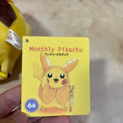 ポケモン　マンスリーピカチュウ　ぬいぐるみの画像