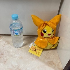 ポケモン　マンスリーピカチュウ　ぬいぐるみの画像