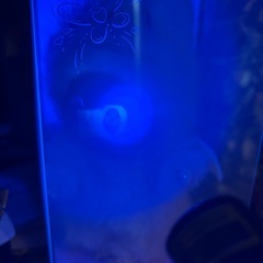 ラブブ　　海外限定ジモモの画像
