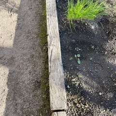 交渉中
枕木の画像
