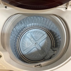 【SHARP】全自動洗濯機 6kgの画像