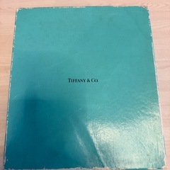 【未使用】Tiffany & Co. フローレット シャンパングラス 2客SETの画像