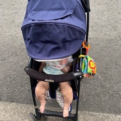アップリカ　の画像