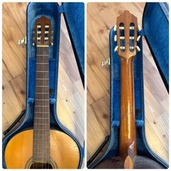 SHINANO Gut Guitar No.16604 15 信濃 Hケース付の画像