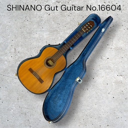 SHINANO Gut Guitar No.16604 15 信濃 Hケース付