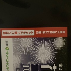 グリーンランド　花火　入園チケットの画像
