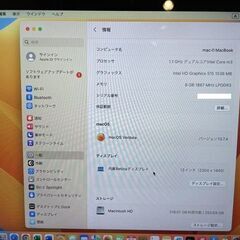 MacBook 12　2016　Core m3　8GB　251GB　美品です！の画像