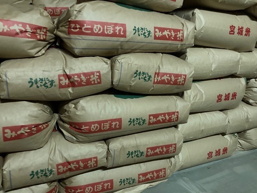予定終了?令和7年産新米 登米産ひとめぼれ玄米30kg