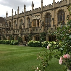 あなたの好きなことを題材にした、最先端の新レッスン！あなただけのマンツーマン英語レッスン！！の画像