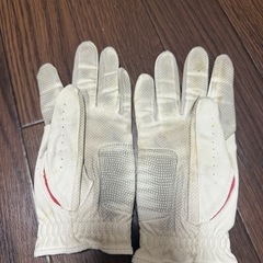 【10/1〜10/19お渡し】レディースゴルフグッズセット　の画像