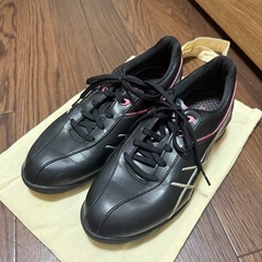 【10/1〜10/19お渡し】レディースゴルフグッズセット　の画像