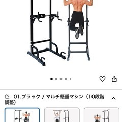 【早い者勝ち】懸垂チンニングの画像