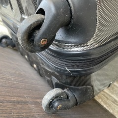 キャリーバッグの画像