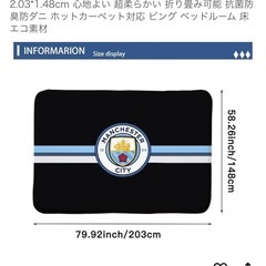 マンチェスターシティ ラグの画像