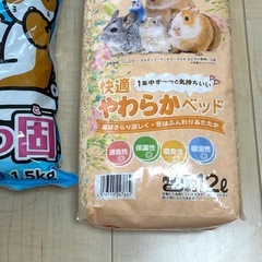 ハムスター　　の画像