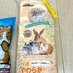 ハムスター　　の画像
