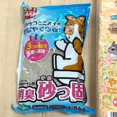ハムスター　　の画像