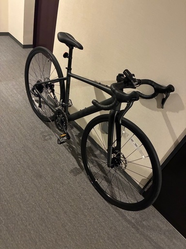 TREK ( トレック ) ロードバイク DOMANE AL 2 GEN 4