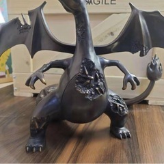 ダニエル・アーシャム ポケモン：ヒトカゲの画像