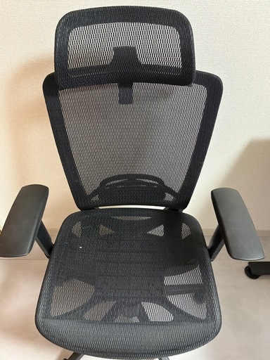 いす flexispot oc3