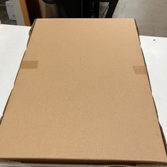 2509-549 Panasonic  電気しき毛布 洗える毛布  DB-U71LSE1-C ベージュ LSサイズ 未開封　の画像