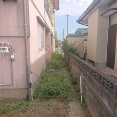 草刈りの画像