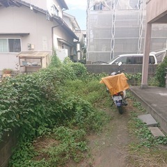 草刈りの画像