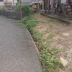 草刈りの画像