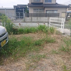 草刈りの画像