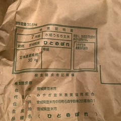 登米市産　ひとめぼれ　令和7年産新米　玄米　お米　直販一等米　食べ過ぎ注意⚠️の画像