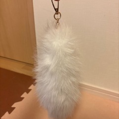しっぽの画像