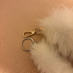 しっぽの画像
