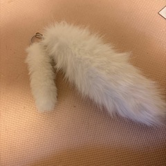 しっぽの画像