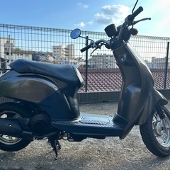 ホンダ　トゥデイ（TODAY）@神奈川県川崎市より4st 50ccスクーターバイク車体の画像