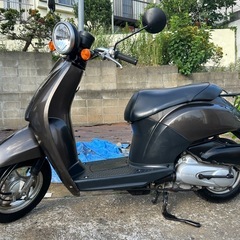 ホンダ　トゥデイ（TODAY）@神奈川県川崎市より4st 50ccスクーターバイク車体の画像