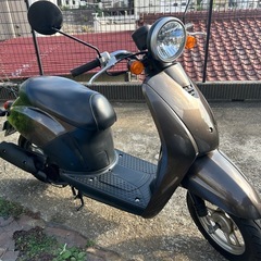 ホンダ　トゥデイ（TODAY）@神奈川県川崎市より4st 50ccスクーターバイク車体の画像