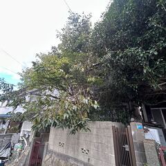 【伐採お願いします！！】日当4万円！＠兵庫県神戸市北区鈴蘭台の画像