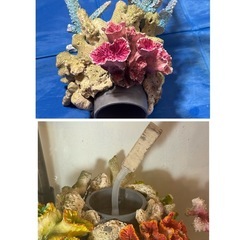 海水魚水槽セット一式の画像
