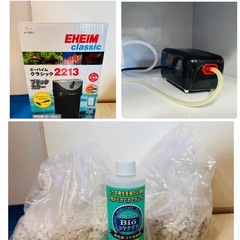 海水魚水槽セット一式の画像