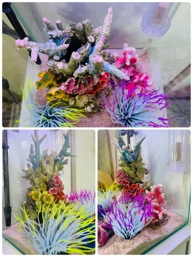 海水魚水槽セット一式