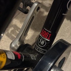 ☆引き取り限定☆ LOUIS GARNEAU 18インチの画像