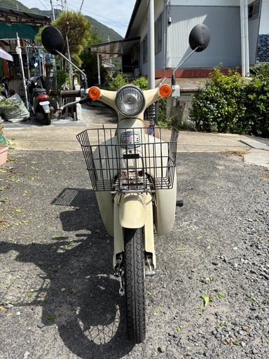 取引成立済み
 リトルカブ little cub