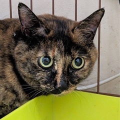 飼い主様が施設に入られます